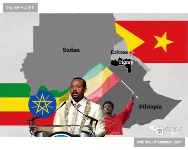 《勇者之足：埃塞俄比亚足球梦想的崛起与电影节荣耀之路》